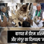 बागपत में डीएम अस्मिता लाल और लंगूर का दिलचस्प ‘नो मटरू’ पल