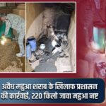 अवैध महुआ शराब के खिलाफ प्रशासन की कार्रवाई, 220 किलो जावा महुआ नष्ट |