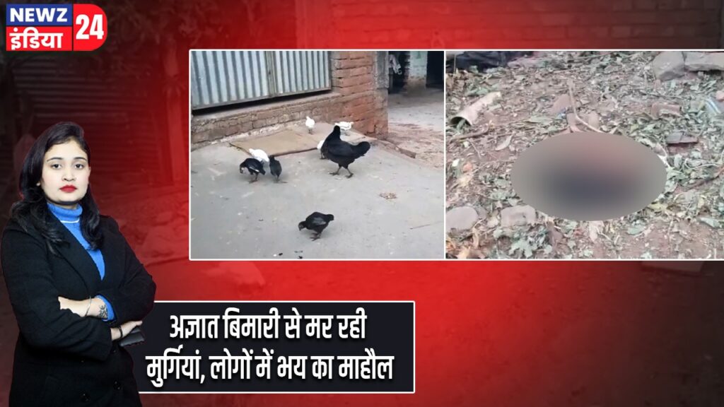 अज्ञात बिमारी से मर रही मुर्गियां, लोगों में भय का माहौल |