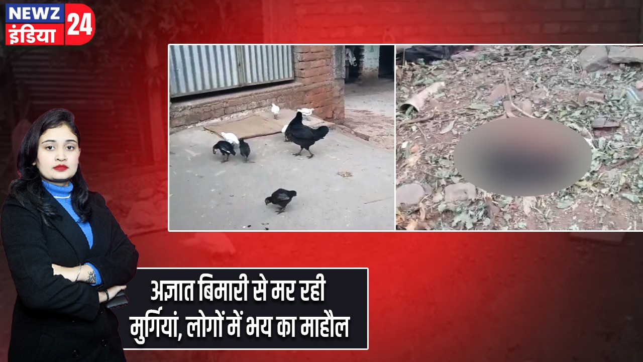 अज्ञात बिमारी से मर रही मुर्गियां, लोगों में भय का माहौल |