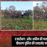 हजारीबाग: अवैध अफीम की फसल पर चौपारण पुलिस की ताबड़तोड़ कार्रवाई