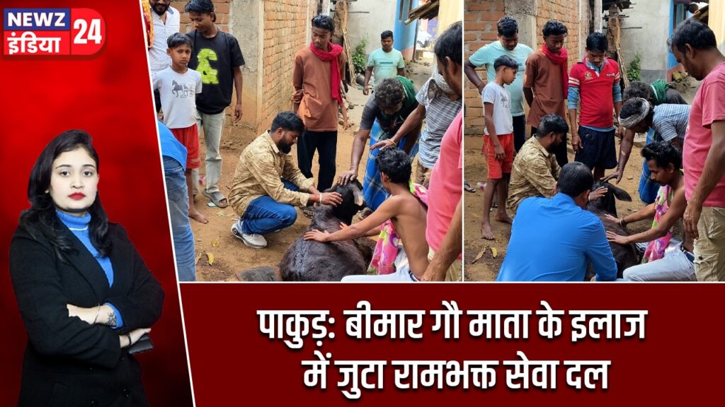 पाकुड़: बीमार गौ माता के इलाज में जुटा रामभक्त सेवा दल