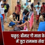 पाकुड़: बीमार गौ माता के इलाज में जुटा रामभक्त सेवा दल