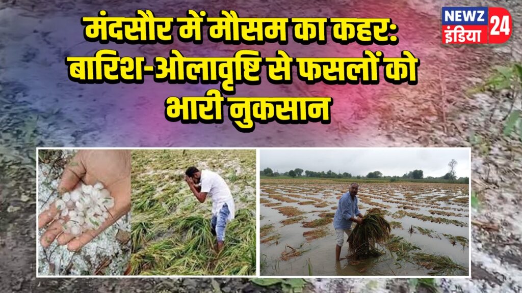 मंदसौर में मौसम का कहर: बारिश-ओलावृष्टि से फसलों को भारी नुकसान