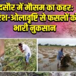 मंदसौर में मौसम का कहर: बारिश-ओलावृष्टि से फसलों को भारी नुकसान