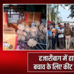 हजारीबाग में हाथियों से बचाव के लिए कीट का वितरण