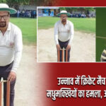 उन्नाव में क्रिकेट मैच के दौरान मधुमक्खियों का हमला, अंपायर की मौत