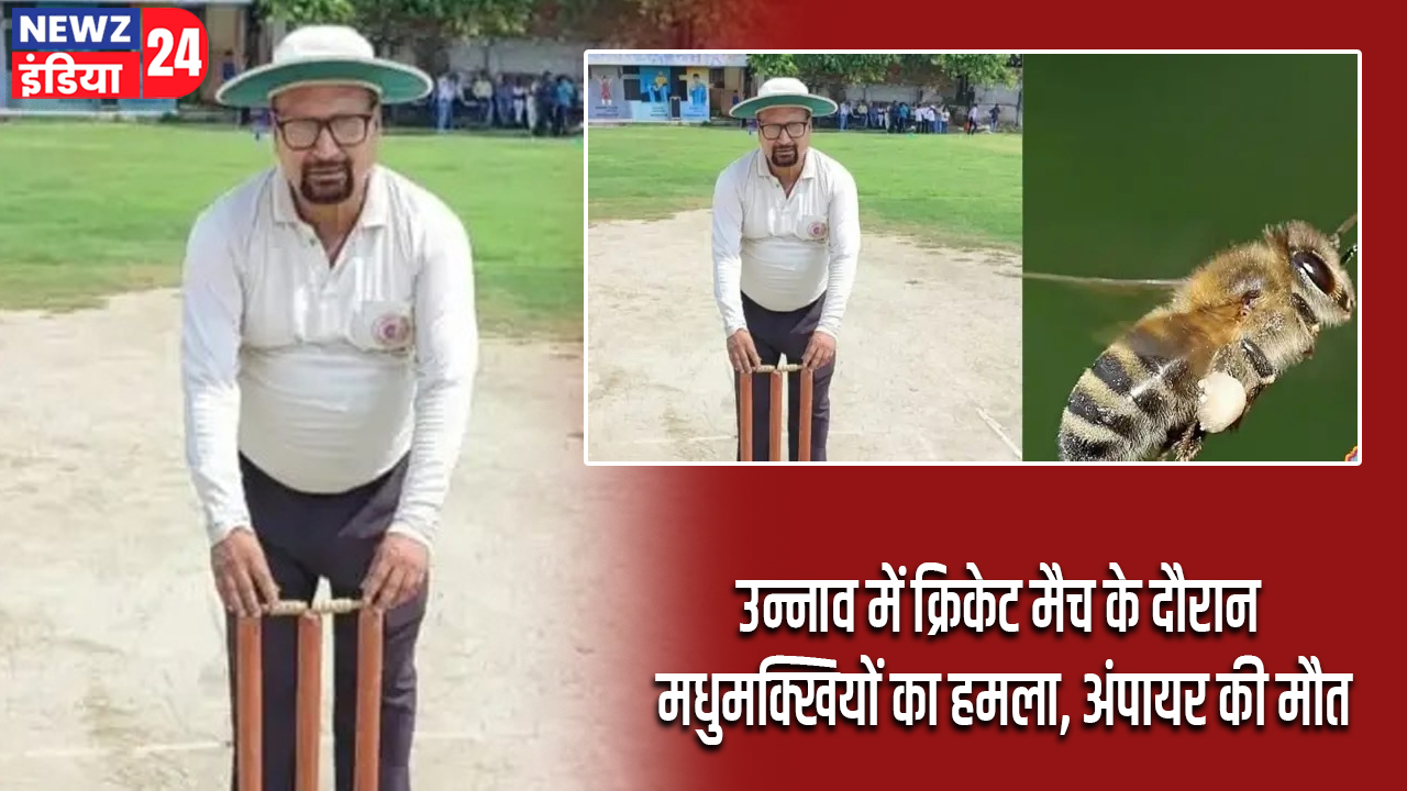 उन्नाव में क्रिकेट मैच के दौरान मधुमक्खियों का हमला, अंपायर की मौत