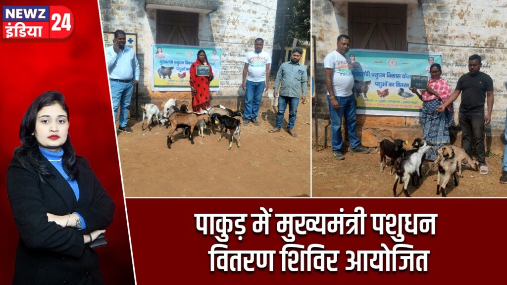 पाकुड़ में मुख्यमंत्री पशुधन वितरण शिविरआयोजित