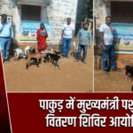 पाकुड़ में मुख्यमंत्री पशुधन वितरण शिविरआयोजित