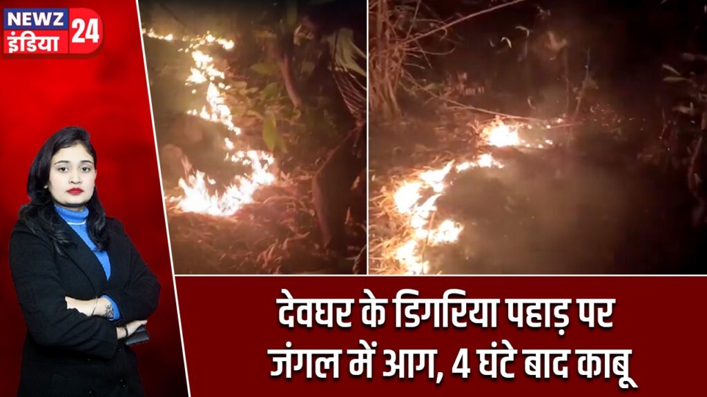देवघर के डिगरिया पहाड़ पर जंगल में आग, 4 घंटे बाद काबू