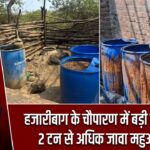 हजारीबाग के चौपारण में बड़ी कार्रवाई, 2 टन से अधिक जावा महुआ नष्ट