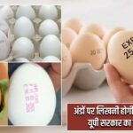 अंडों पर लिखनी होगी एक्सपायरी डेट, यूपी सरकार का बड़ा फैसला