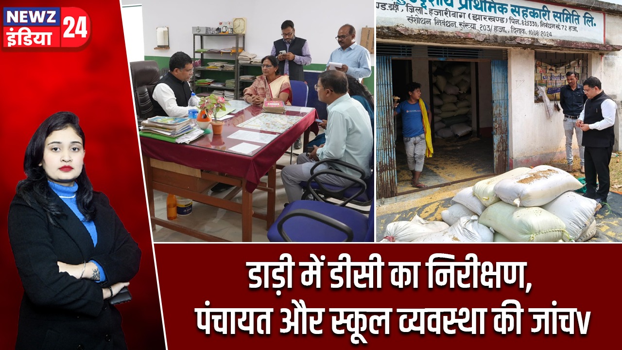 डाड़ी में डीसी का निरीक्षण, पंचायत और स्कूल व्यवस्था की जांच