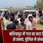 बलियापुर में गाय का कटा सिर मिलने से तनाव, पुलिस ने संभाला मोर्चा