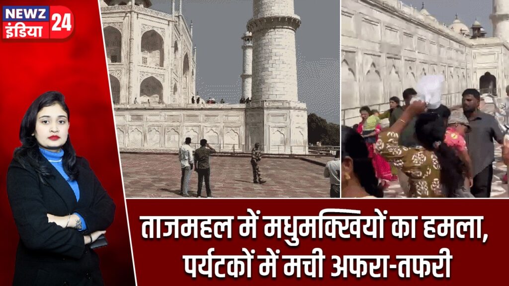 ताजमहल में मधुमक्खियों का हमला, पर्यटकों में मची अफरा-तफरी |