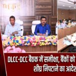 DLCC-DCC बैठक में समीक्षा, बैंकों को लंबित आवेदन शीघ्र निपटाने का आदेश |