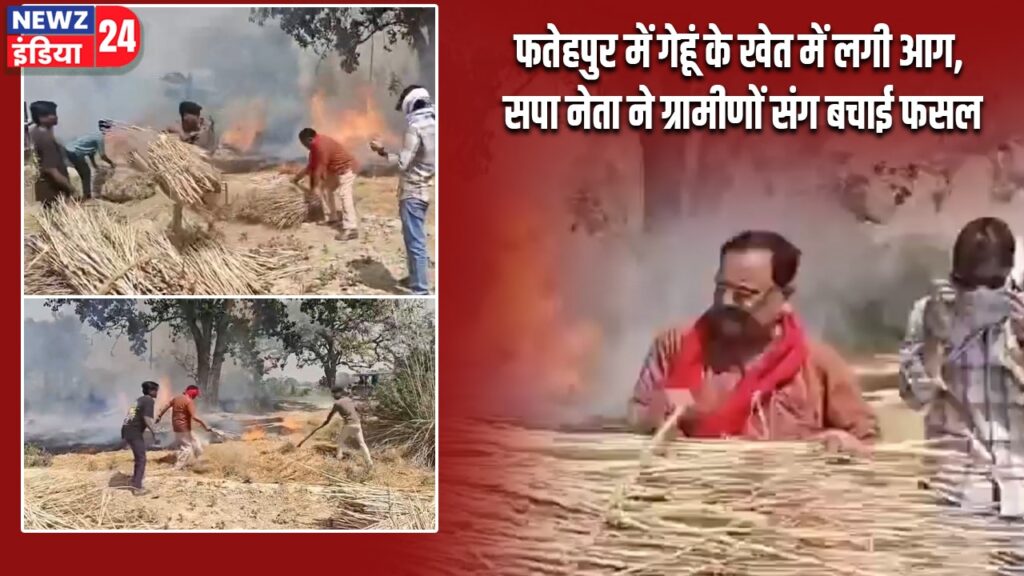 फतेहपुर में गेहूं के खेत में लगी आग, सपा नेता ने ग्रामीणों संग बचाई फसल