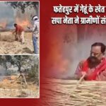 फतेहपुर में गेहूं के खेत में लगी आग, सपा नेता ने ग्रामीणों संग बचाई फसल