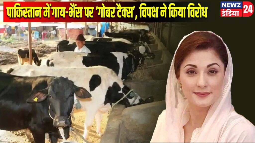 पाकिस्तान में गाय-भैंस पर ‘गोबर टैक्स’, विपक्ष ने किया विरोध