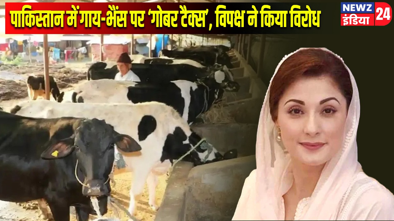 पाकिस्तान में गाय-भैंस पर ‘गोबर टैक्स’, विपक्ष ने किया विरोध