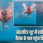 अंडरवॉटर शूट में शार्क की एंट्री, तैराक के पास पहुंचा विशाल जीव