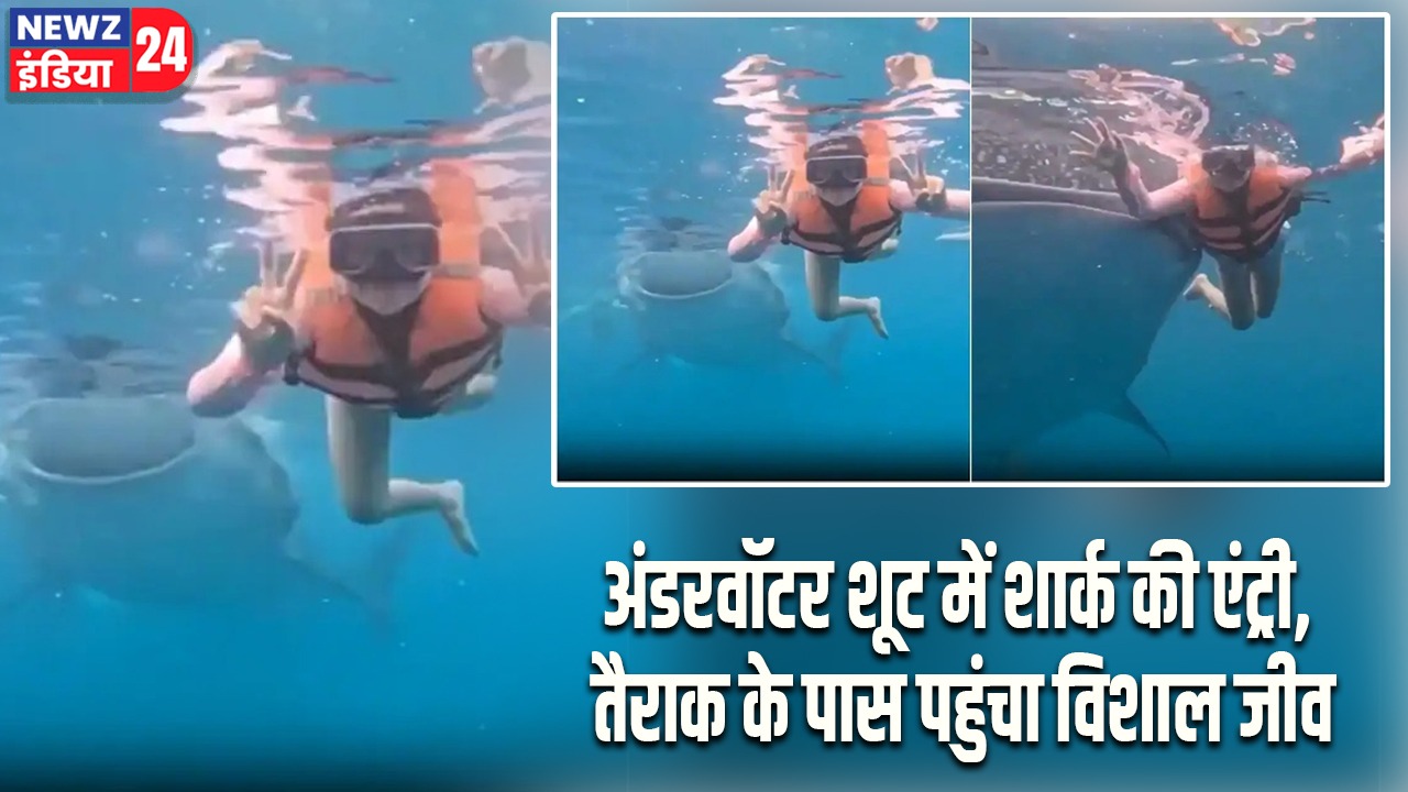 अंडरवॉटर शूट में शार्क की एंट्री, तैराक के पास पहुंचा विशाल जीव