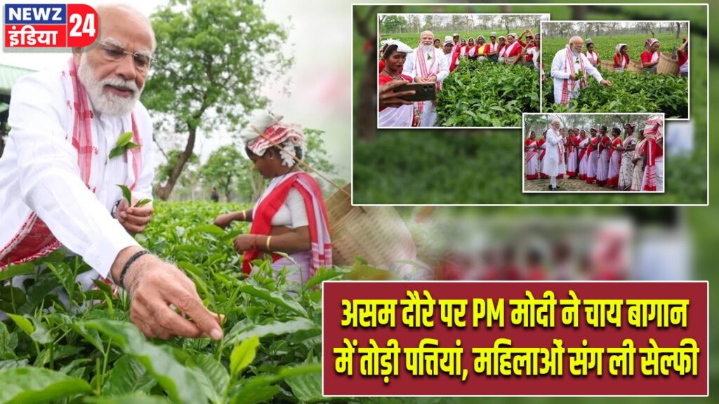 असम दौरे पर PM मोदी ने चाय बागान में तोड़ी पत्तियां, महिलाओं संग ली सेल्फी