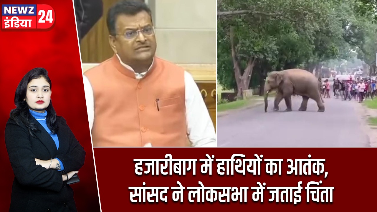 हजारीबाग में हाथियों का आतंक, सांसद ने लोकसभा में जताई चिंता