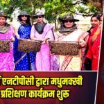 केरेडारी में एनटीपीसी द्वारा मधुमक्खी पालन प्रशिक्षण कार्यक्रम शुरू |