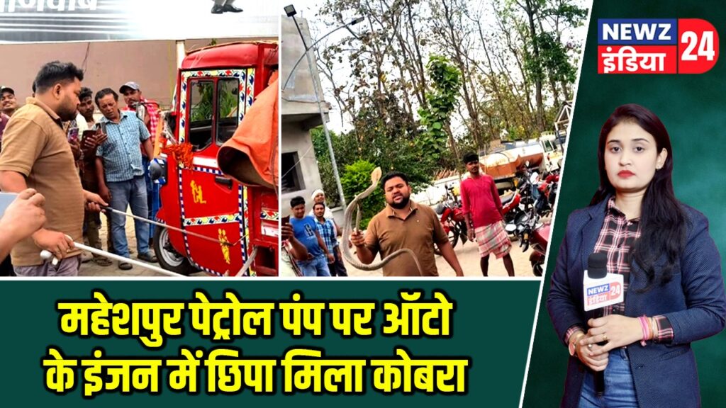 महेशपुर पेट्रोल पंप पर ऑटो के इंजन में छिपा मिला कोबरा |