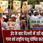 ईद के बाद दिल्ली में उठी बड़ी मांग, गाय को राष्ट्रीय पशु घोषित करने की अपील