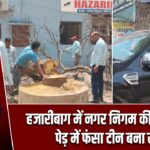 हजारीबाग में नगर निगम की लापरवाही, पेड़ में फंसा टीन बना खतरा