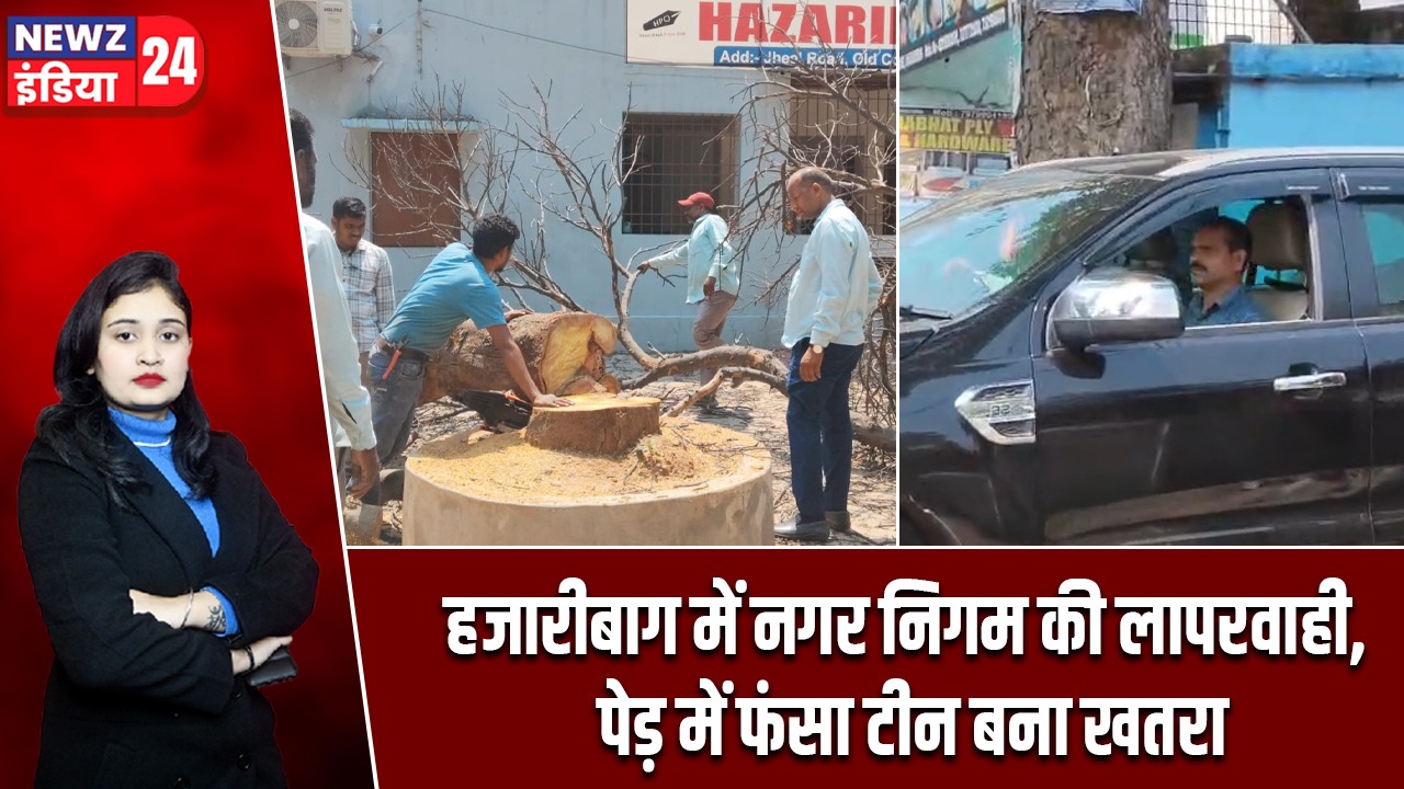 हजारीबाग में नगर निगम की लापरवाही, पेड़ में फंसा टीन बना खतरा