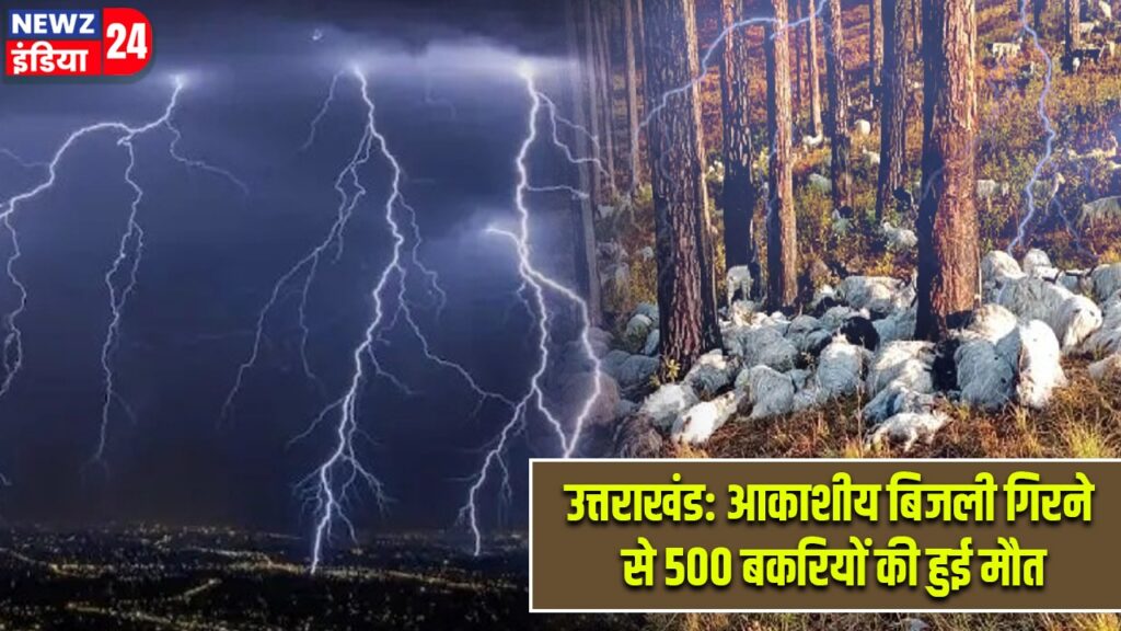 उत्तराखंड: आकाशीय बिजली गिरने से 500 बकरियों की हुई मौत