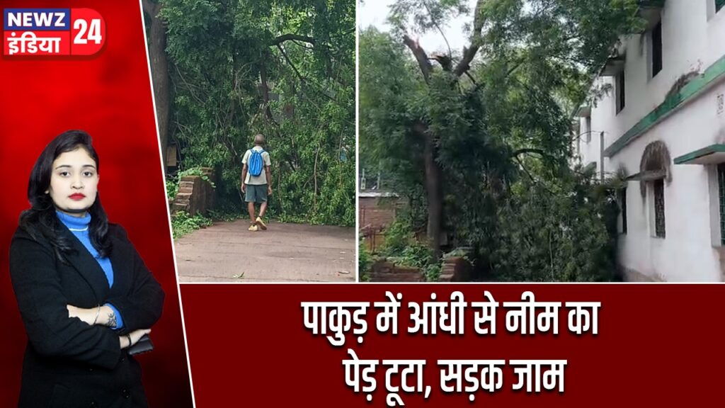 पाकुड़ में आंधी से नीम का पेड़ टूटा, सड़क जाम