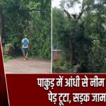 पाकुड़ में आंधी से नीम का पेड़ टूटा, सड़क जाम