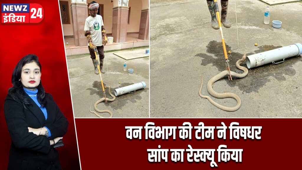 वन विभाग की टीम ने विषधर सांप का रेस्क्यू किया |