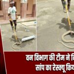 वन विभाग की टीम ने विषधर सांप का रेस्क्यू किया |