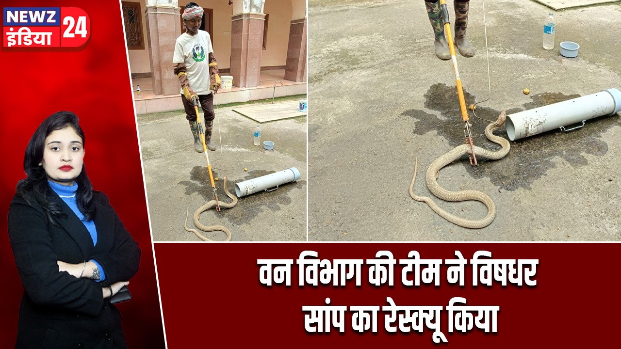 वन विभाग की टीम ने विषधर सांप का रेस्क्यू किया |