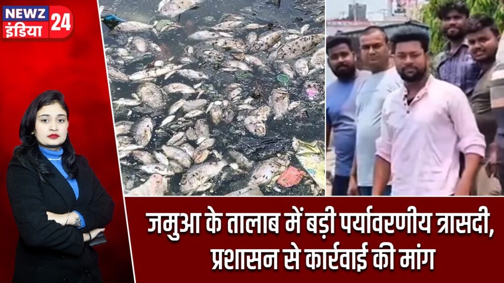 जमुआ के तालाब में बड़ी पर्यावरणीय त्रासदी, प्रशासन से कार्रवाई की मांग