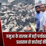 जमुआ के तालाब में बड़ी पर्यावरणीय त्रासदी, प्रशासन से कार्रवाई की मांग