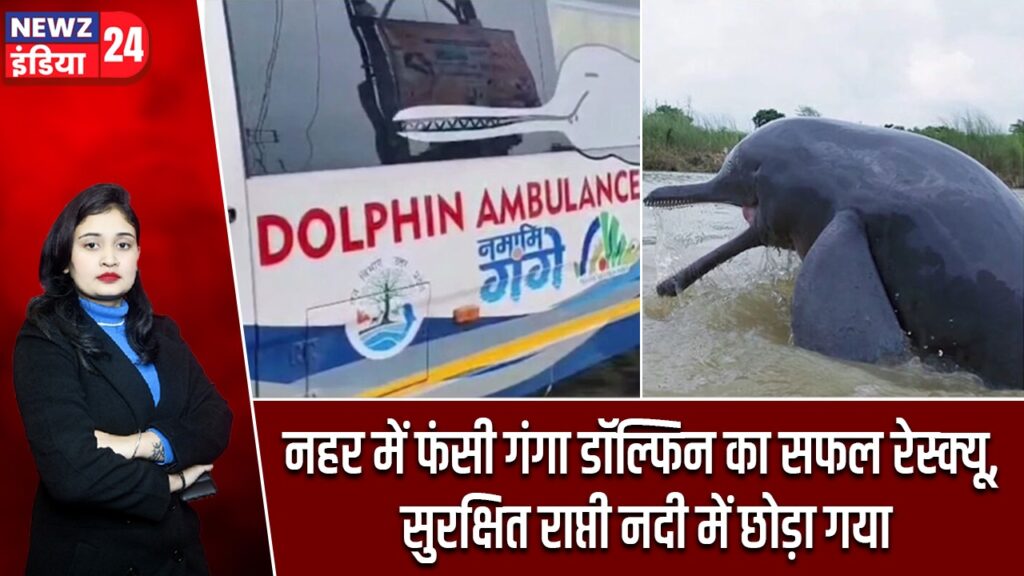 नहर में फंसी गंगा डॉल्फिन का सफल रेस्क्यू, सुरक्षित राप्ती नदी में छोड़ा गया