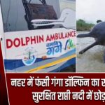 नहर में फंसी गंगा डॉल्फिन का सफल रेस्क्यू, सुरक्षित राप्ती नदी में छोड़ा गया