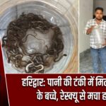 हरिद्वार: पानी की टंकी में मिले 27 सांप के बच्चे, रेस्क्यू से मचा हड़कंप