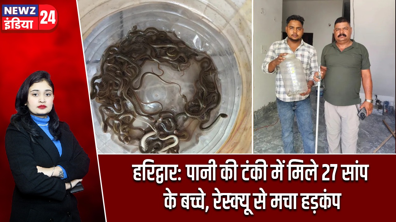 हरिद्वार: पानी की टंकी में मिले 27 सांप के बच्चे, रेस्क्यू से मचा हड़कंप