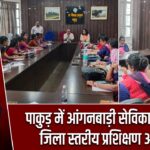 पाकुड़ में आंगनबाड़ी सेविकाओं के लिए जिला स्तरीय प्रशिक्षण आयोजित
