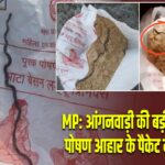 MP: आंगनवाड़ी की बड़ी लापरवाही! पोषण आहार के पैकेट में मिला सांप |