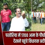 परहेरिया में 1700 आम के पौधों की बागवानी देखने पहुंचे विधायक प्रदीप प्रसाद |