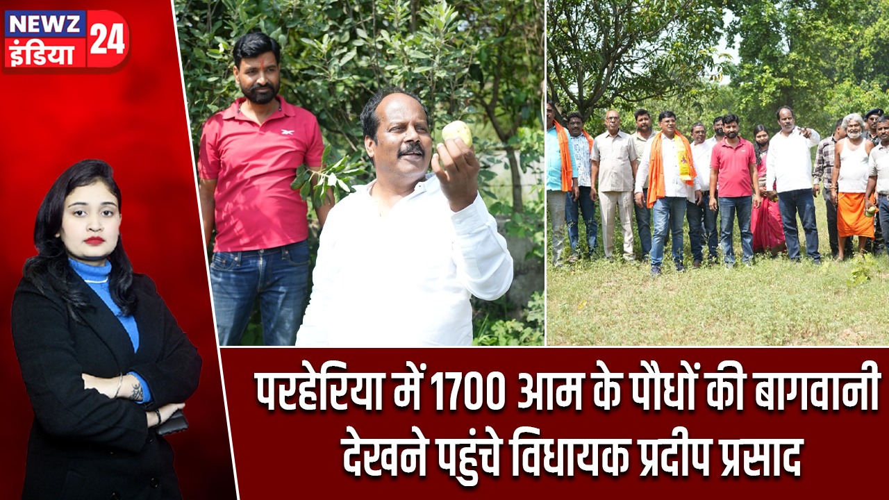 परहेरिया में 1700 आम के पौधों की बागवानी देखने पहुंचे विधायक प्रदीप प्रसाद |